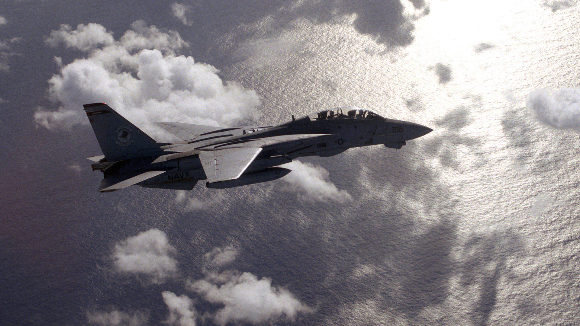 F-14 Tomcat flying above water
