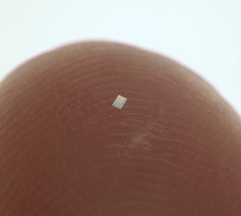 Microelectronics – Microchip on Figertip Quick Chip