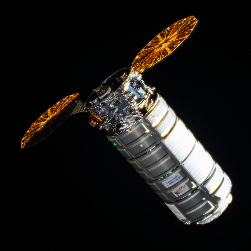 Cygnus