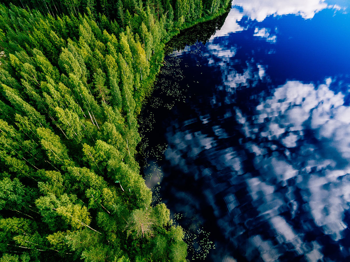 Satellite-Image-of-Treeline-900w-GettyImages-955100114-1 Eco Efficiency