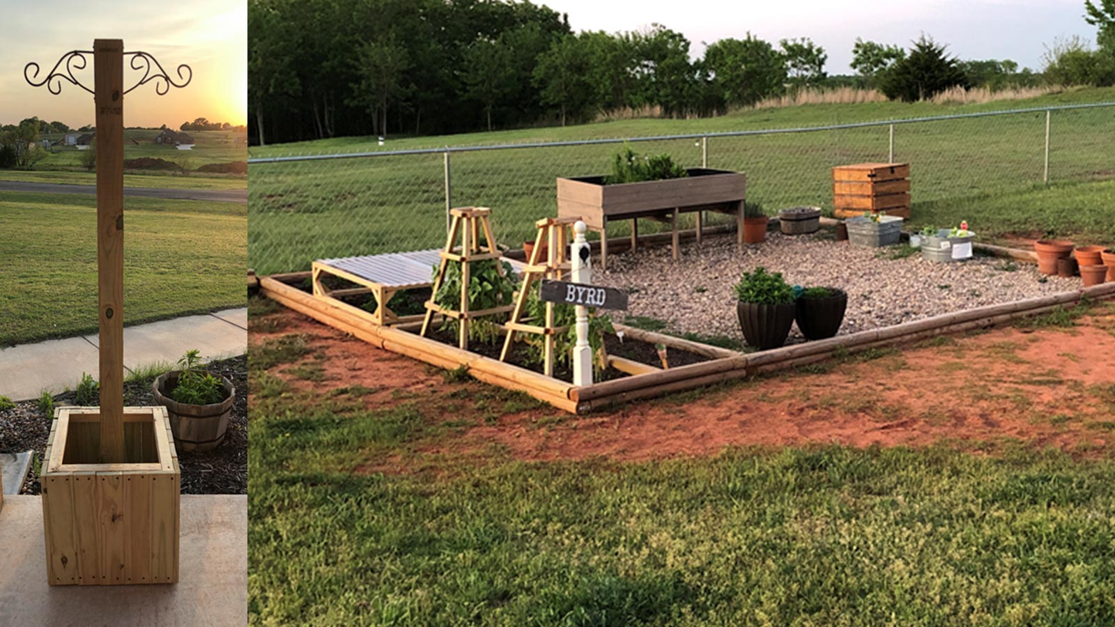 Photo of a backyard garden